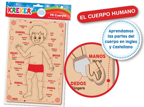 MI CUERPO HUMANO GOMA EVA
