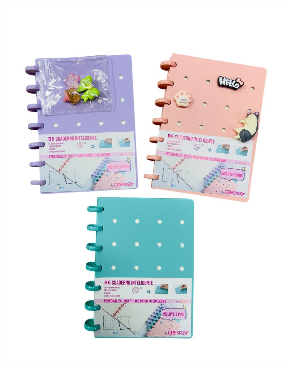 CUADERNO B6 DISCOS  CON PINES - COLORES SURTIDOS -