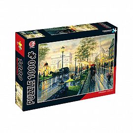 PUZZLE 1000P PASEO DE NOCHE