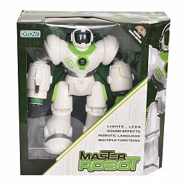 MASTER ROBOT R/C GTE