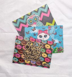 CARPETA CORDON N5 - MODELOS SURTIDOS