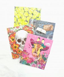 CARPETA CORDON N3 - MODELOS SURTIDOS